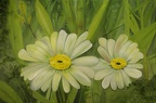 Margaritten